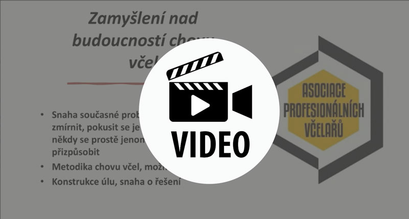Video včelařství